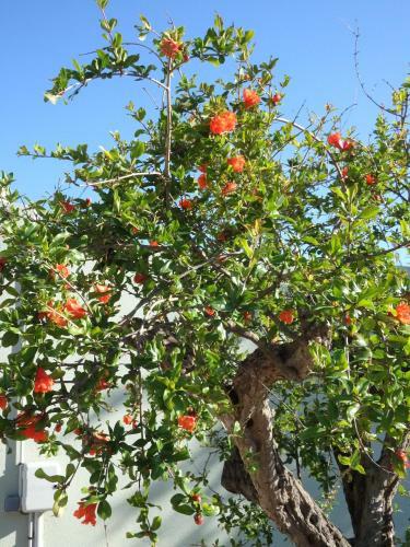 Apartamentos Appartement Cit� Du Sel
