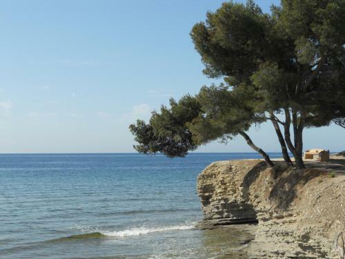 Apartamento Studio Le P�n�qu� Des Anges