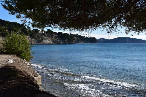 Apartamento Studio Le P�n�qu� Des Anges