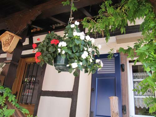 Bed & Breakfast La Ferme De Louise