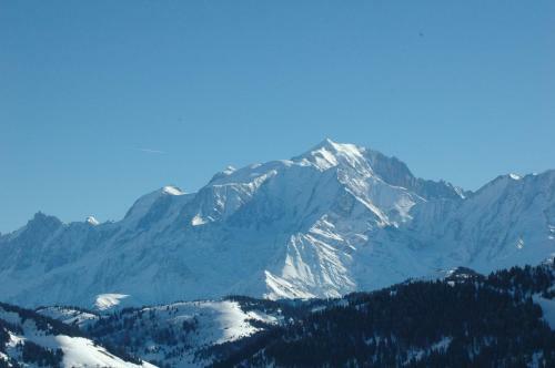 Hotel H�tel Flor'alpes