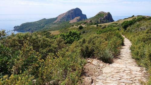 Aparthotel R�sidence A Barcella