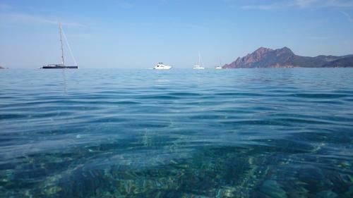 Aparthotel R�sidence A Barcella