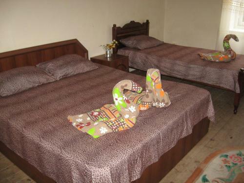 Hostal Guest House Romashka