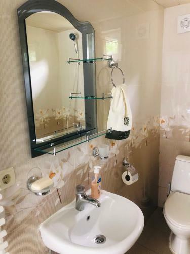 Hostal Guest House Vivaushba