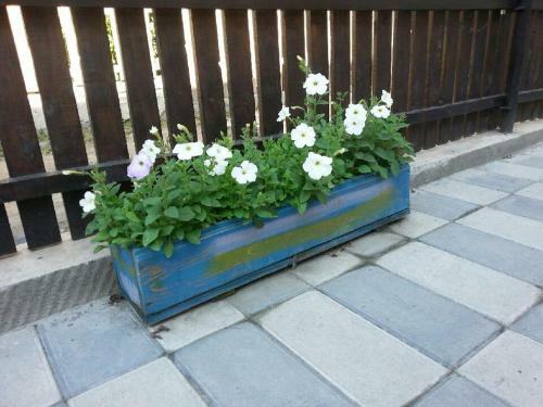 Hostal Guesthouse Mestia 32