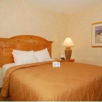 Hotel Comfort Inn & Suites Oceanfront