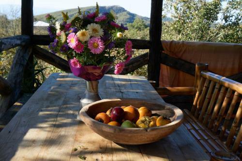 Hostal Agro Guesthouse Korena