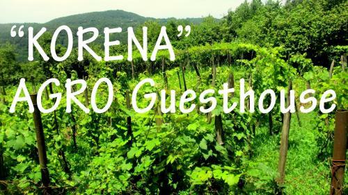 Hostal Agro Guesthouse Korena
