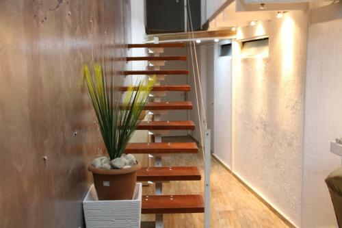 Hostal Guest House Paradise