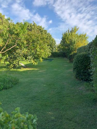 Acanthes & Provence