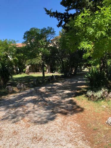 Acanthes & Provence