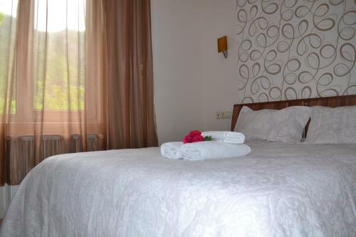 Hostal Guest House Vertigo