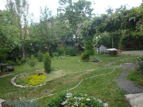 Hostal Tamari Guest House