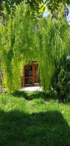 Hostal Tamari Guest House