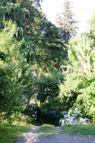 Hostal Batumi Green Cape Guest House
