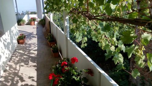 Hostal Abramichi Guest House