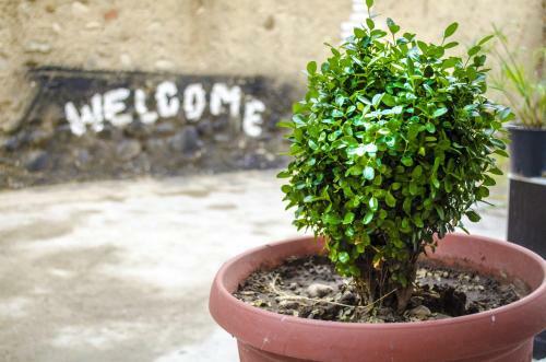 Hostal Tin-tina Guesthouse