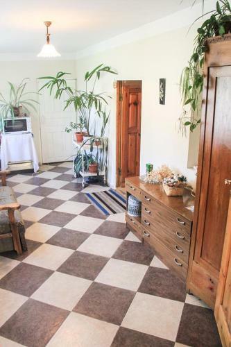 Hostal Dodo Japaridze Guesthouse