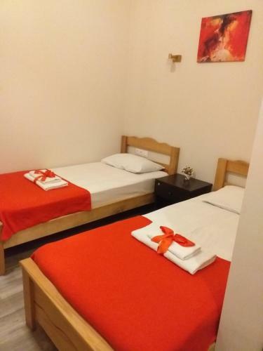 Hostal Guest House Lion