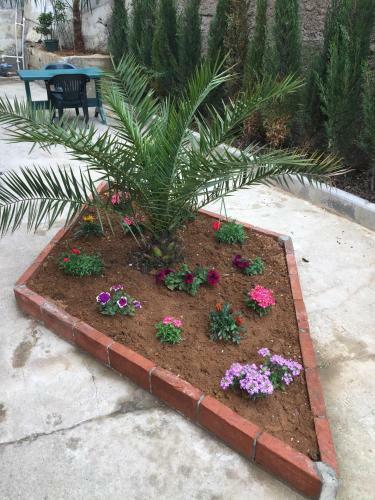 Hostal Vaja's Guest House