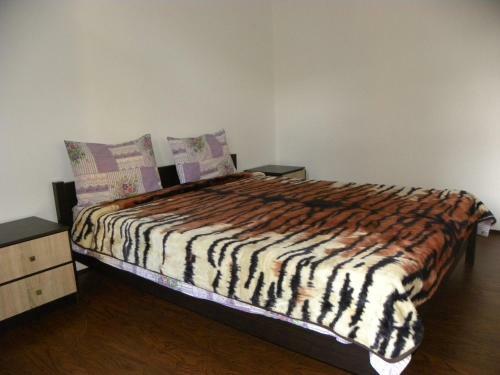 Elma Hostel