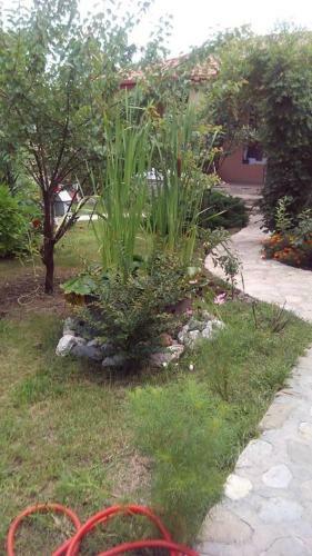 Hostal Eto Gardenia Apartment