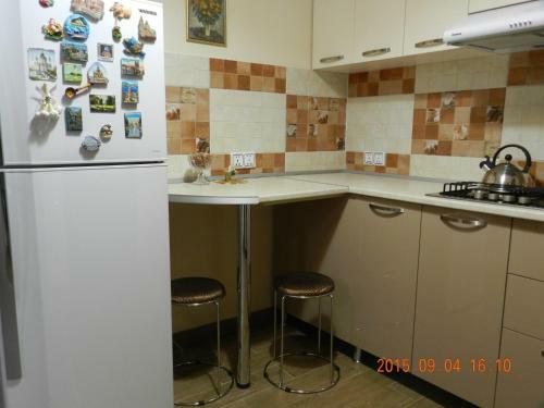 Apartment Vika