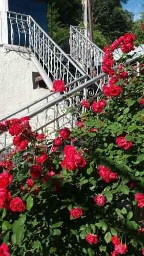 Hostal Guest House On Chanchibadze 9