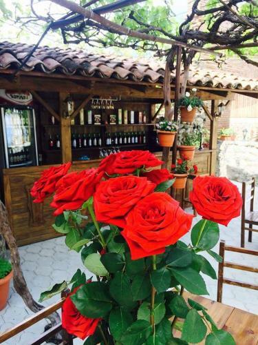 Hostal Guest House Kusika