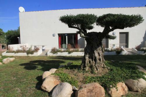 Apartamento R�sidence Isola Hotel