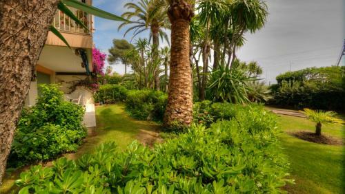 Apartamento 3 Pi�ces Eden Park