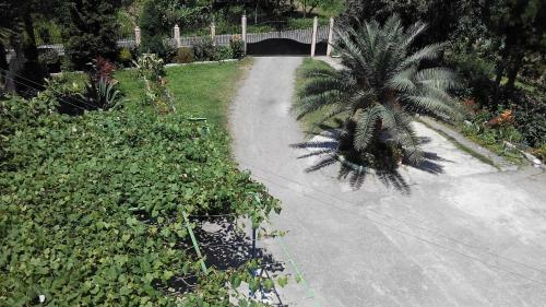 Guest House Avgia