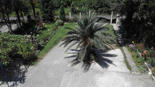 Guest House Avgia