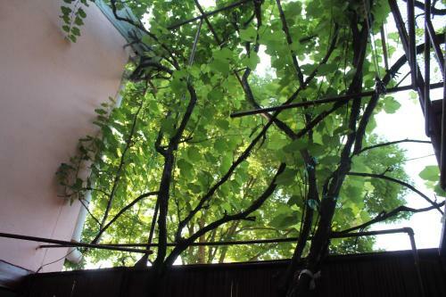 Hostel Old City Sololaki