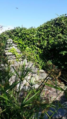 Apartamento Guest House On Kostava 23