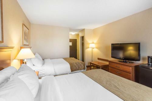 Hotel Comfort Inn - Gander