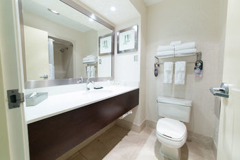 Hotel Holiday Inn Select Windsor (ambassador Bridge)