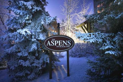 Apartamentos The Aspens By Blackcomb Peaks Accommodation