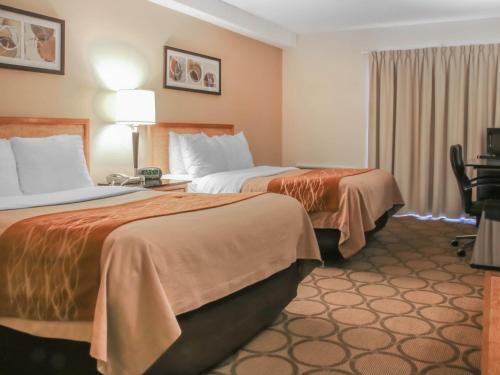 Hotel Comfort Inn Brandon