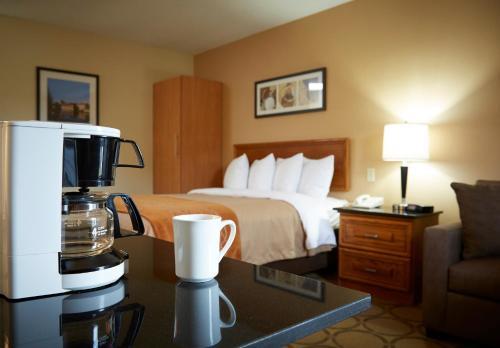 Hotel Comfort Inn Brandon