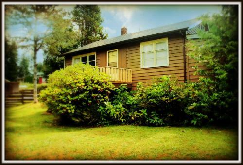 Port Renfrew Country Cottage
