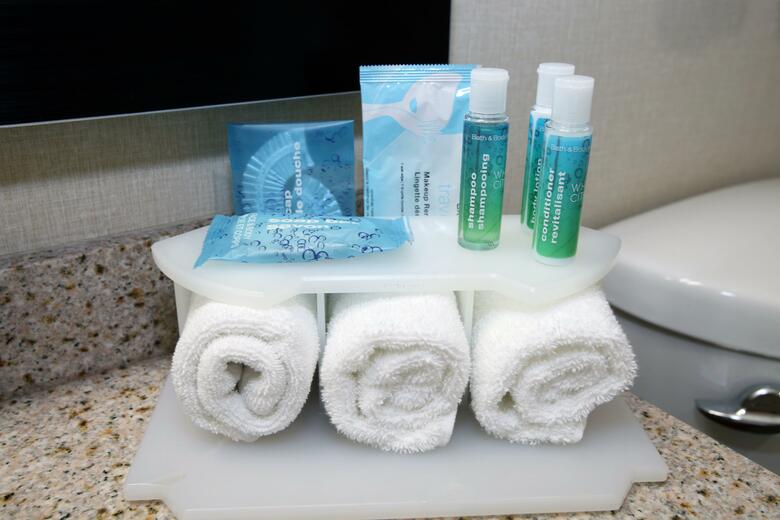Holiday Inn Express Hotel & Suites Vernon