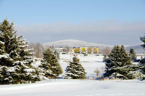 Posada Auberge Bromont
