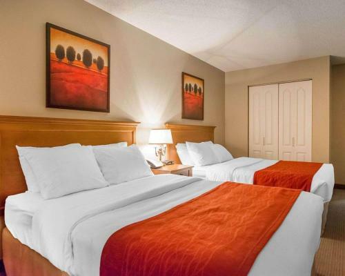 Hotel Comfort Inn Mont Laurier