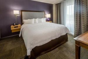 Hotel Hampton Inn & Suites Dublin