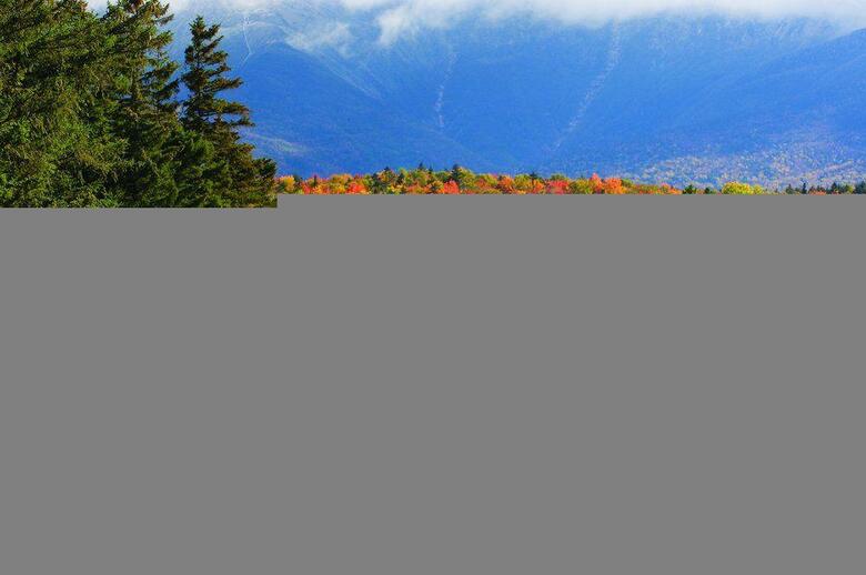 Hotel Omni Mount Washington Resort
