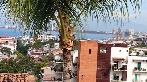 Apartamento Pent House Puerto Vallarta