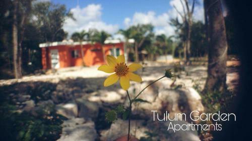 Villa Tulum Gardens