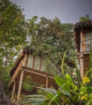Hotelito Mio Boutique Hotel